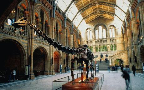 History Of Museums