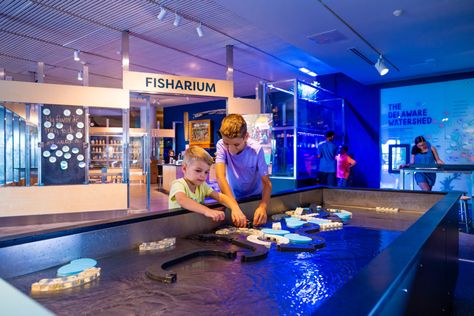 How Are Museums Marketed?