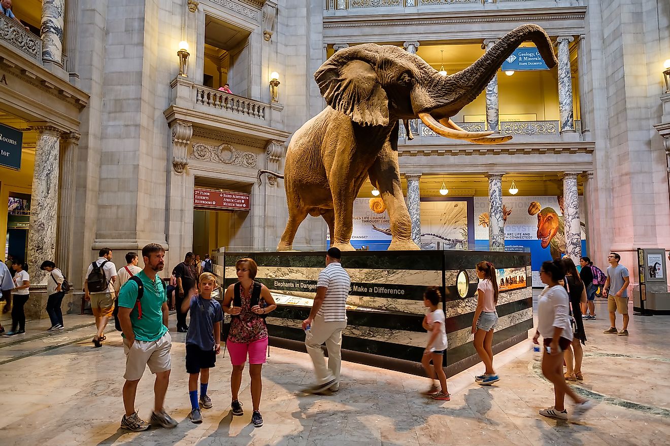 How To Go To National Museum Of Natural History
