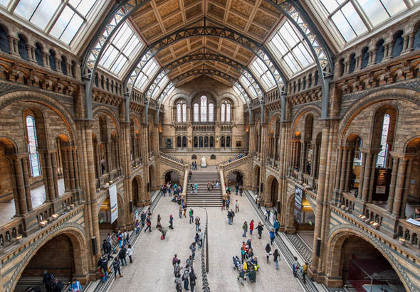 What Is Museum