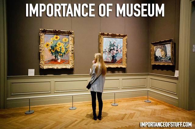 What Is The Role Of Museums In Today