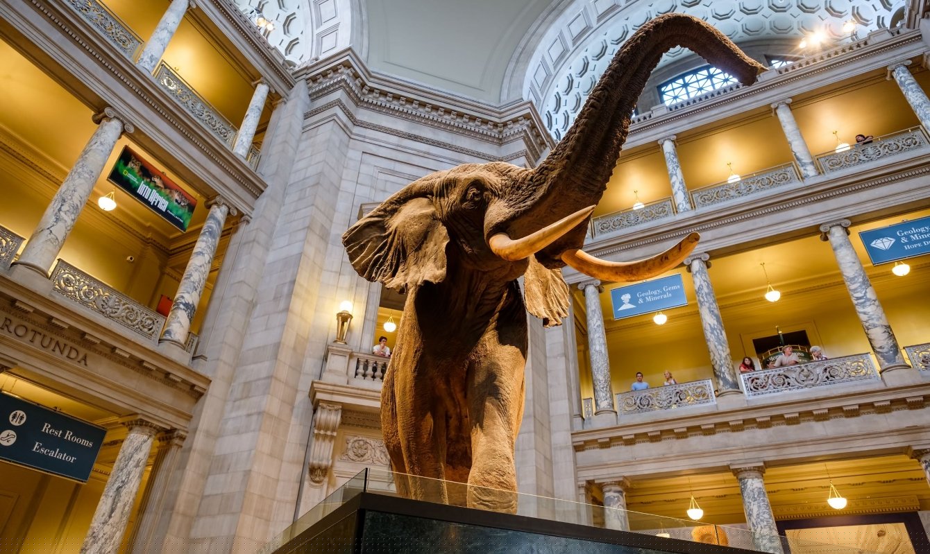 What Station Is National Museum?