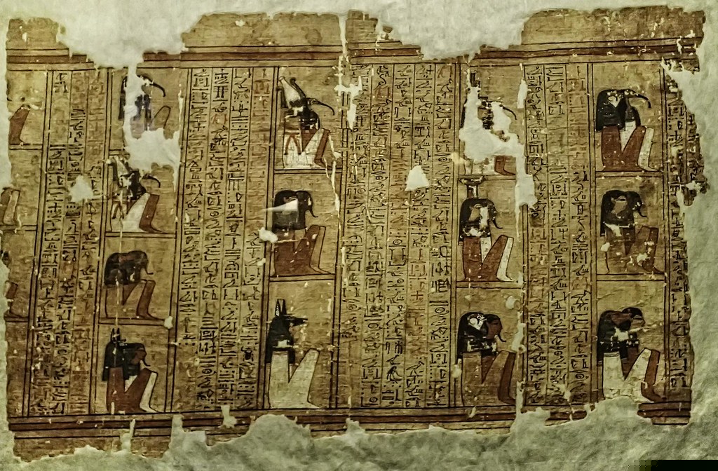 Where Can You Find Papyrus In Egypt?